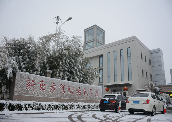 青岛新东方驾校冬日雪景：银装素裹中的驾驶梦