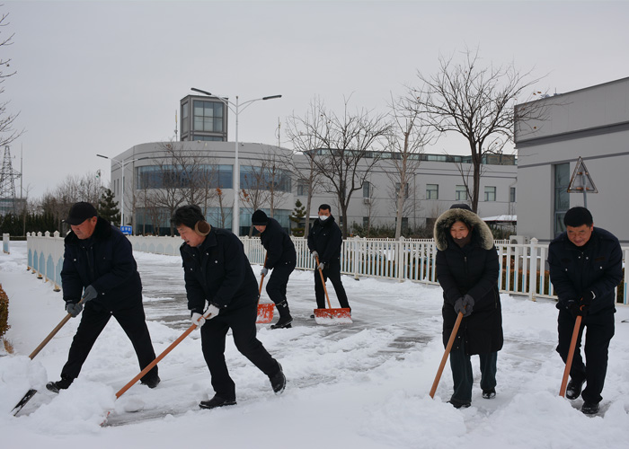 青岛新东方驾校扫雪：冬日里的一抹亮色